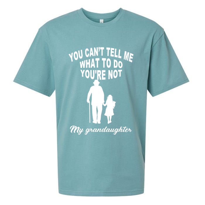 You Can't Tell Me What To Do You're Not My Grandaughter Sueded Cloud Jersey T-Shirt