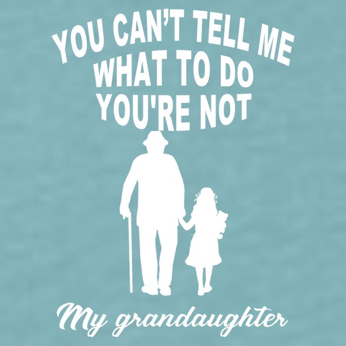 You Can't Tell Me What To Do You're Not My Grandaughter Sueded Cloud Jersey T-Shirt