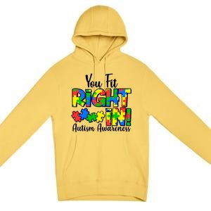 You Fit Right In Autism Awareness Premium Pullover Hoodie