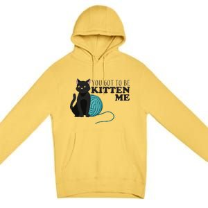 You Got To Be Kitten Me Premium Pullover Hoodie