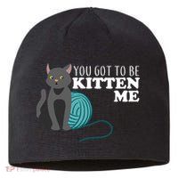 You Got To Be Kitten Me Sustainable Beanie