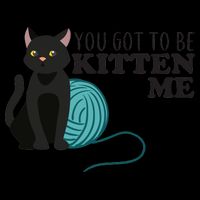 You Got To Be Kitten Me 16oz Travel Tumbler