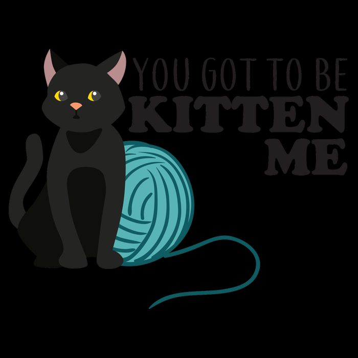 You Got To Be Kitten Me 16oz Travel Tumbler