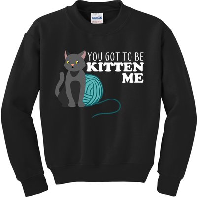 You Got To Be Kitten Me Kids Sweatshirt