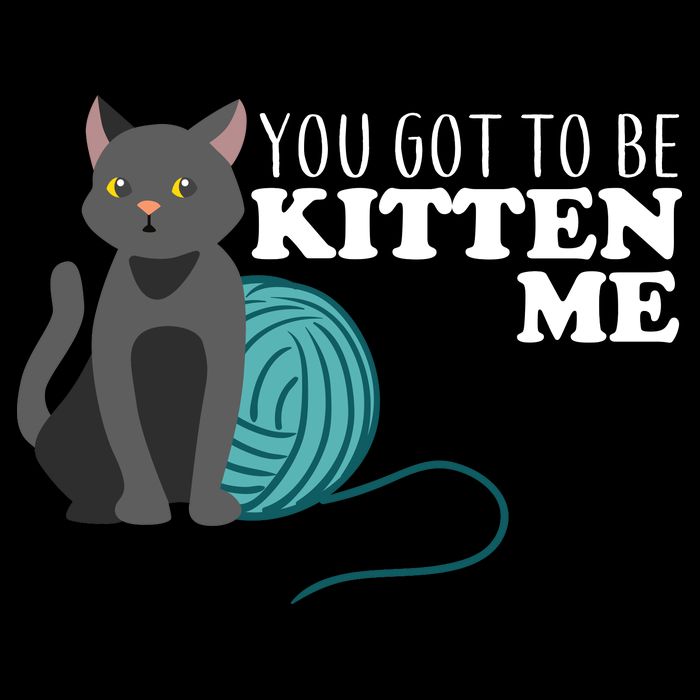 You Got To Be Kitten Me Short Acrylic Beanie