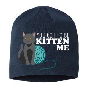 You Got To Be Kitten Me Sustainable Beanie