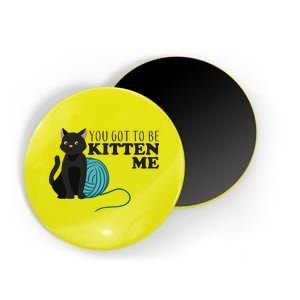 You Got To Be Kitten Me Magnet