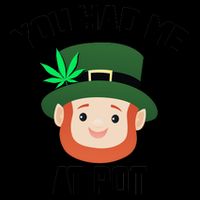 You Had Me At Pot Funny St Patricks Day Weed Mug