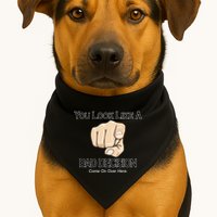 You Look Like A Bad Decision Funny USA-Made Doggie Bandana