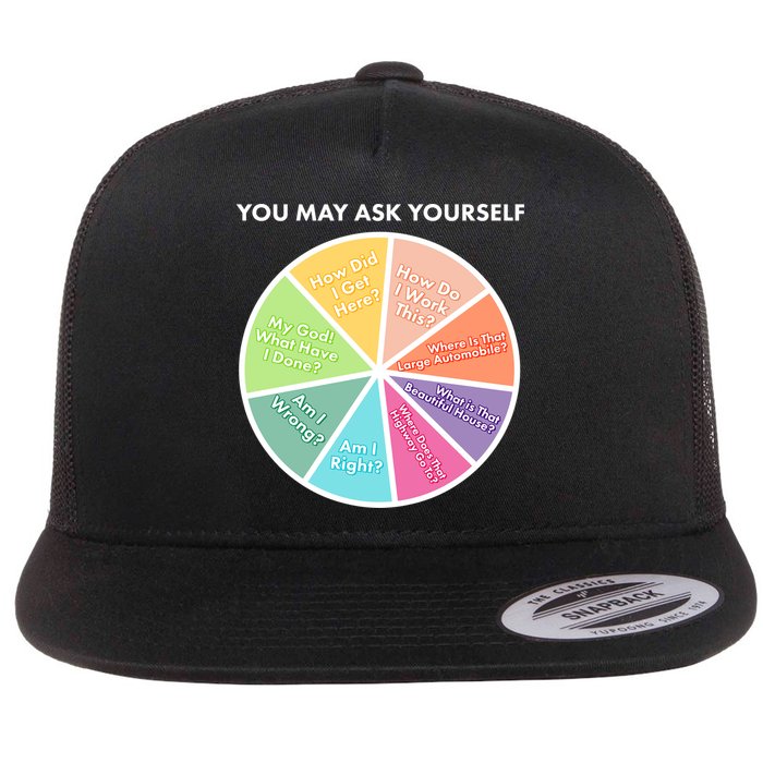 You May Ask Yourself Pie Chart Flatbill Hat