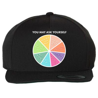 You May Ask Yourself Pie Chart Wool Snapback Cap