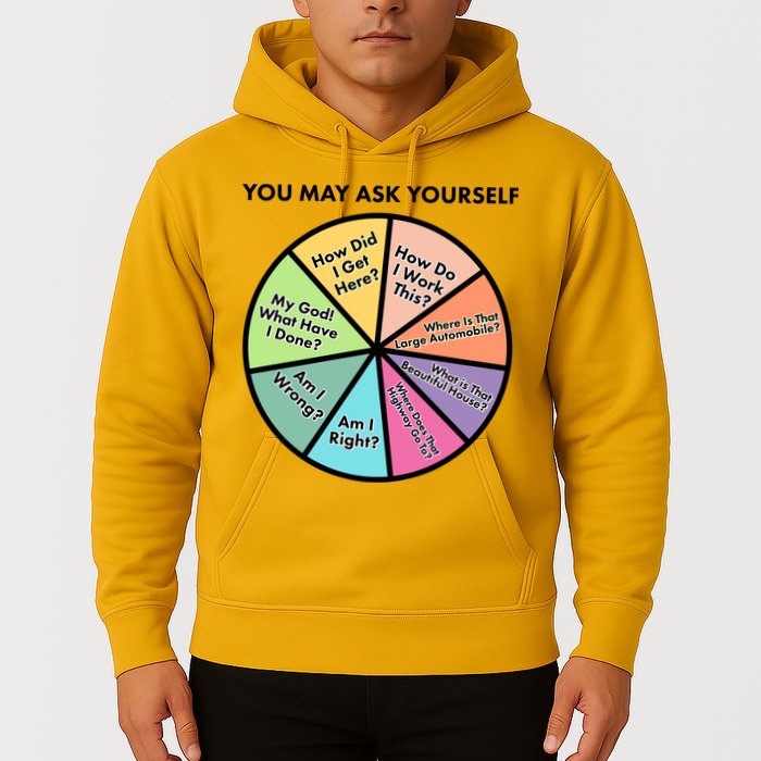 You May Ask Yourself Pie Chart Hoodie