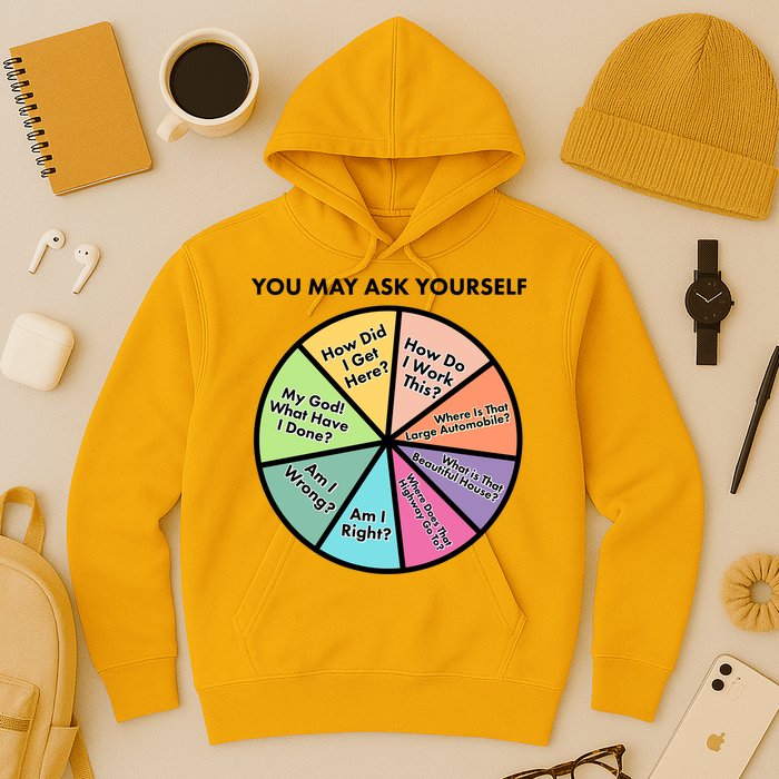 You May Ask Yourself Pie Chart Hoodie