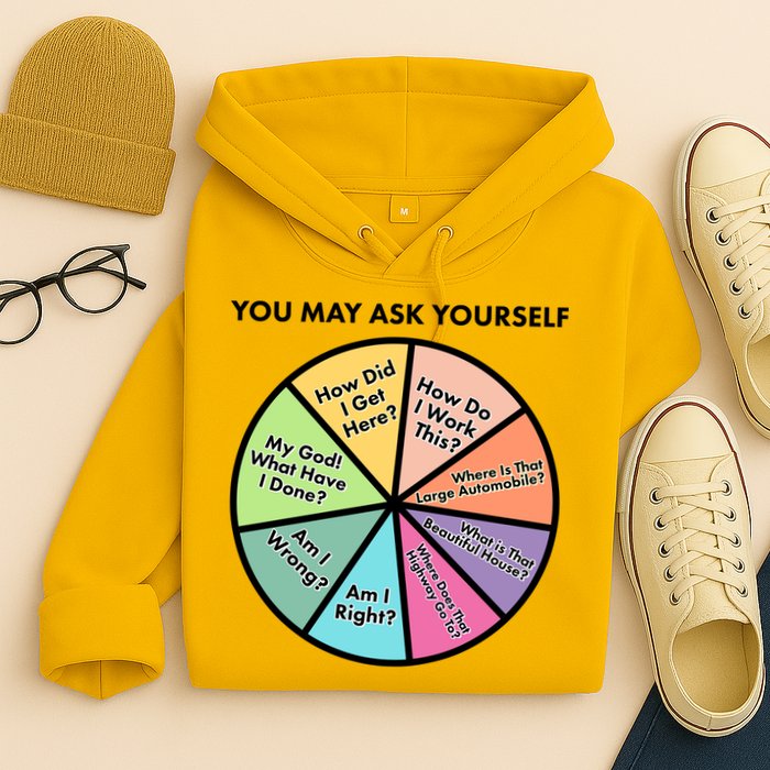 You May Ask Yourself Pie Chart Hoodie