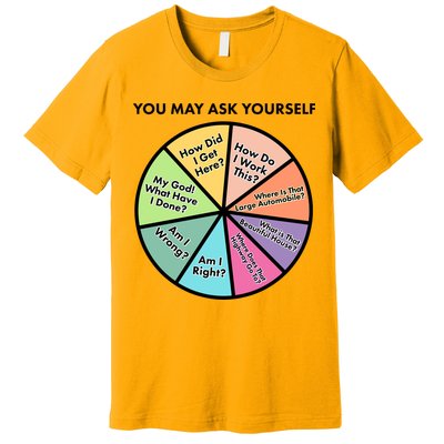 You May Ask Yourself Pie Chart Premium T-Shirt