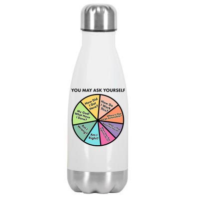 You May Ask Yourself Pie Chart Stainless Steel Insulated Water Bottle