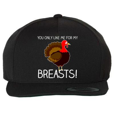 You Only Like Me For My Breasts Thanksgiving Turkey Wool Snapback Cap