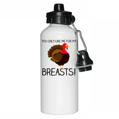 You Only Like Me For My Breasts Thanksgiving Turkey Aluminum Water Bottle