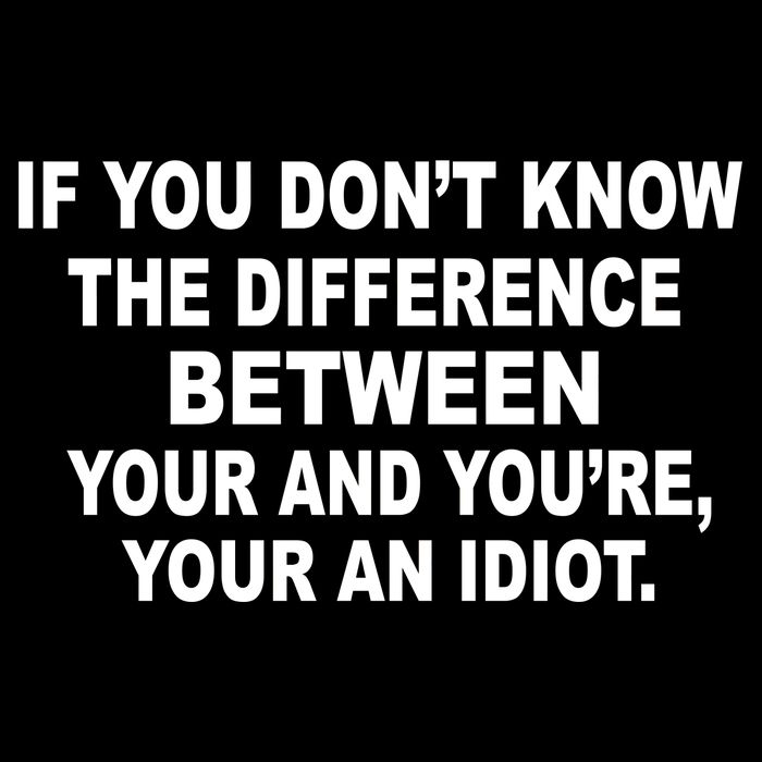 Your and You're Your an Idiot USA-Made Doggie Bandana