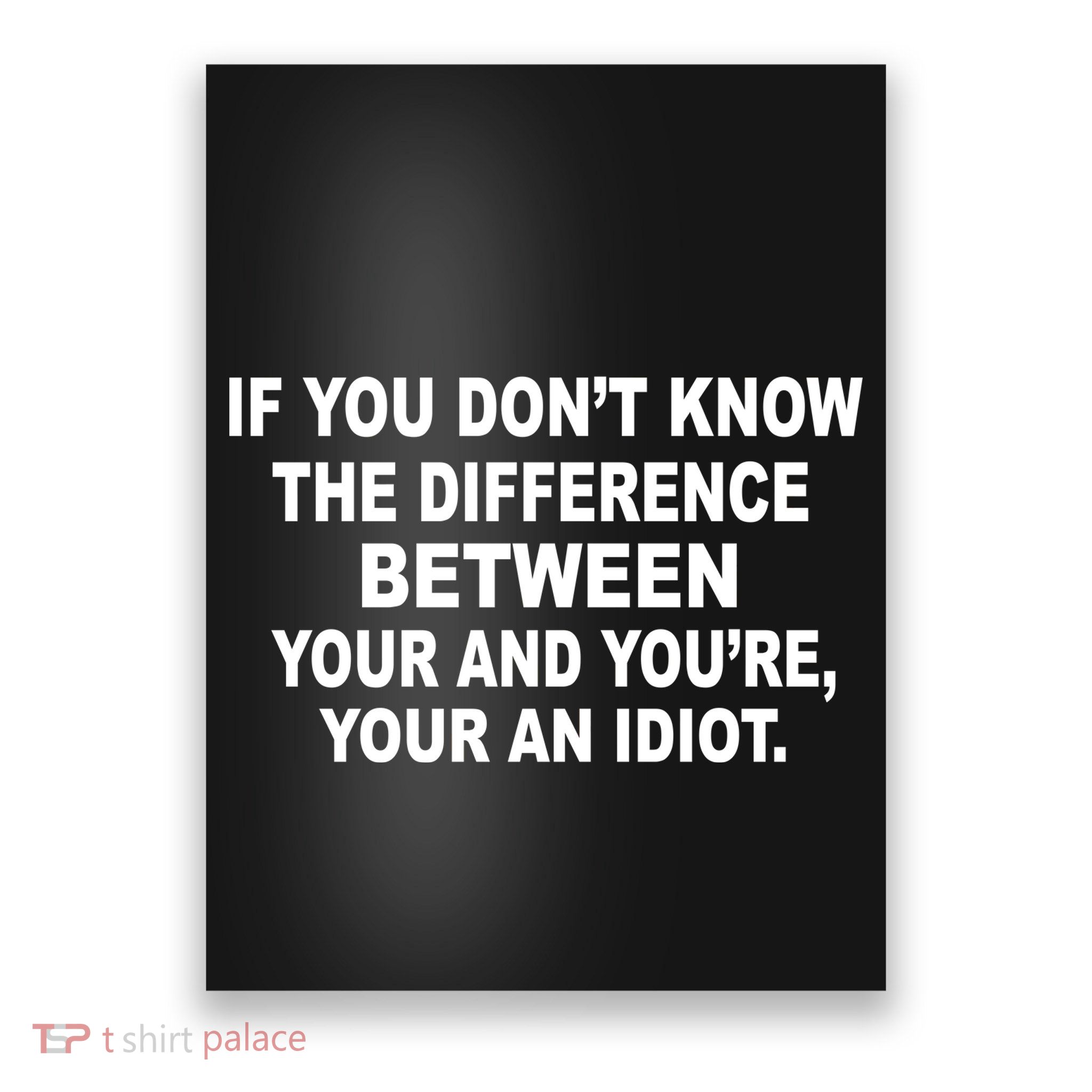 Your and You're Your an Idiot Poster