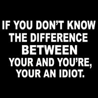Your and You're Your an Idiot Cropped Pullover Crew