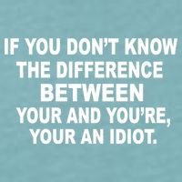 Your and You're Your an Idiot Sueded Cloud Jersey T-Shirt