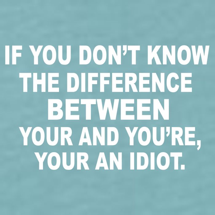 Your and You're Your an Idiot Sueded Cloud Jersey T-Shirt