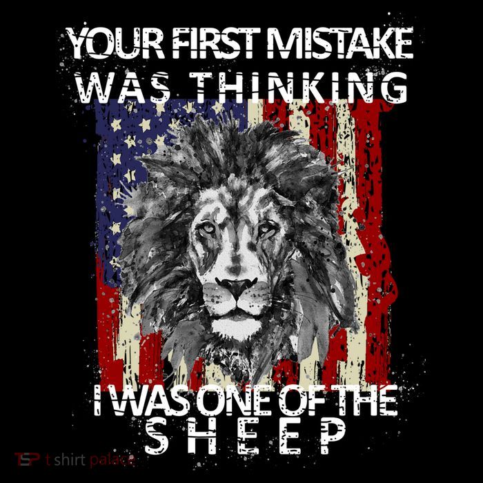 Your First Mistake Was Thinking I Was One Of The Sheep Magnet