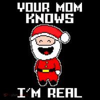 Your Mom Knows I'm Real Santa Christmas 16 in Basic Backpack