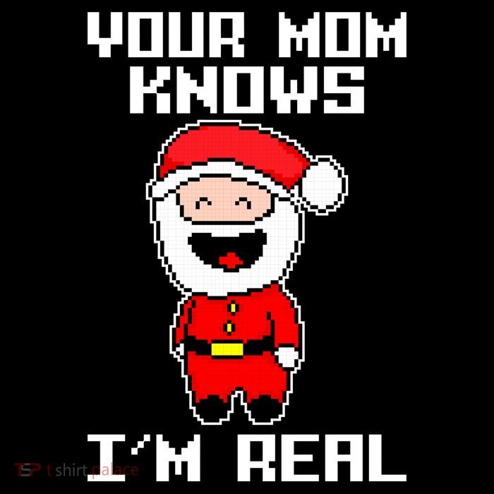 Your Mom Knows I'm Real Santa Christmas 16 in Basic Backpack