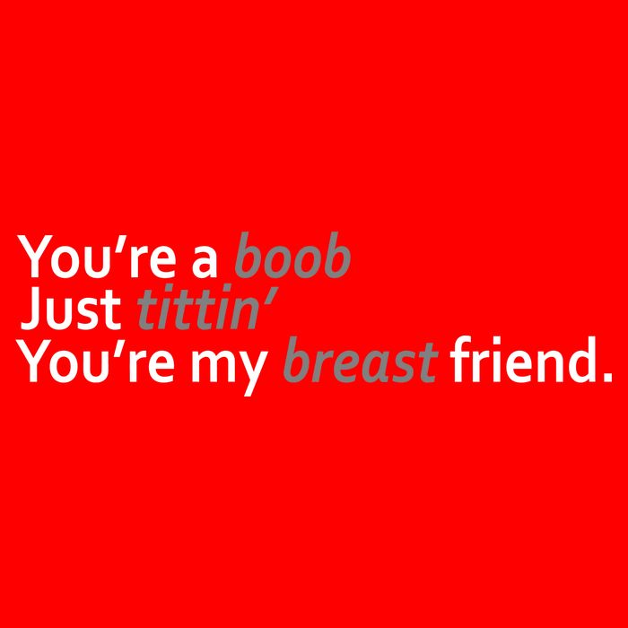You're A Boob Just Tittin You're My Breast Friend T-Shirt