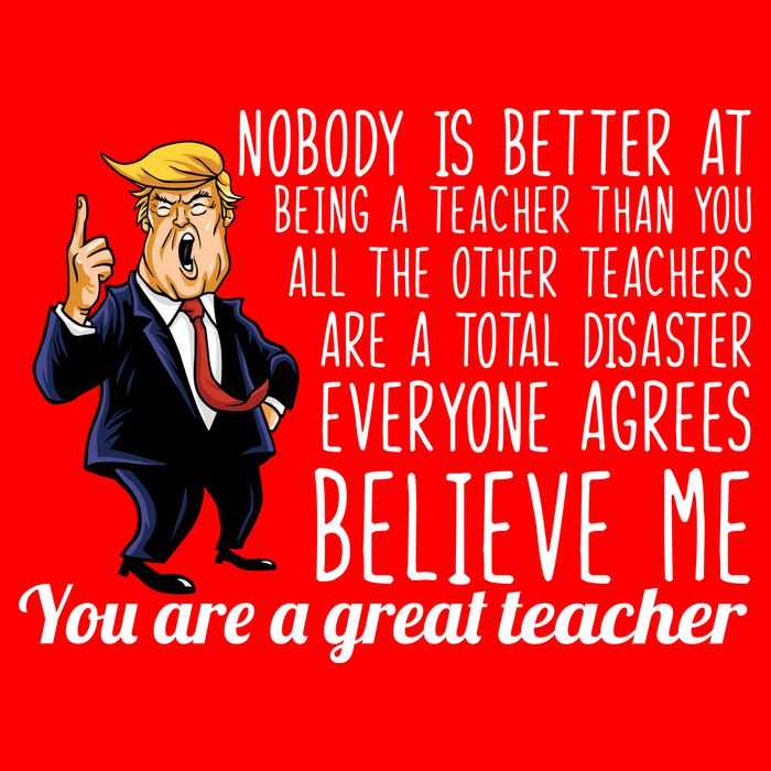You're A Great Teacher Donald Trump 16 in Basic Backpack