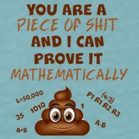 You're A Piece Of Shit And I Can Prove It Mathematically Sueded Cloud Jersey T-Shirt
