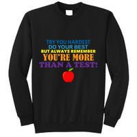 You're More Than A Test Sweatshirt