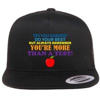 You're More Than A Test Flatbill Hat