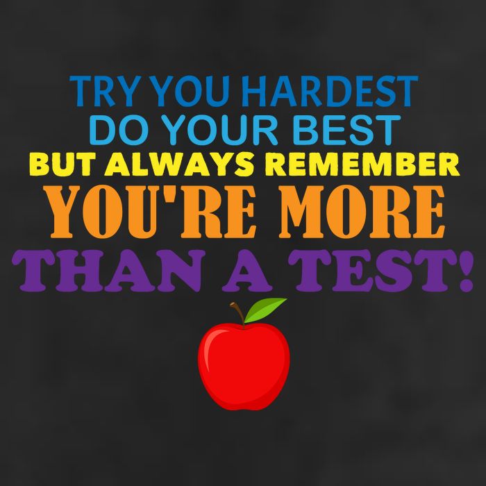 You're More Than A Test Premium Pullover Hoodie