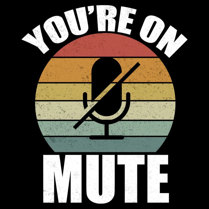 You're On Mute Retro Funny Stripe Pom Pom Beanie
