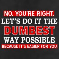 You're Right Let's Do The Dumbest Way Possible Humor 7 Panel Mesh Trucker Snapback Hat