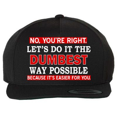 You're Right Let's Do The Dumbest Way Possible Humor Wool Snapback Cap