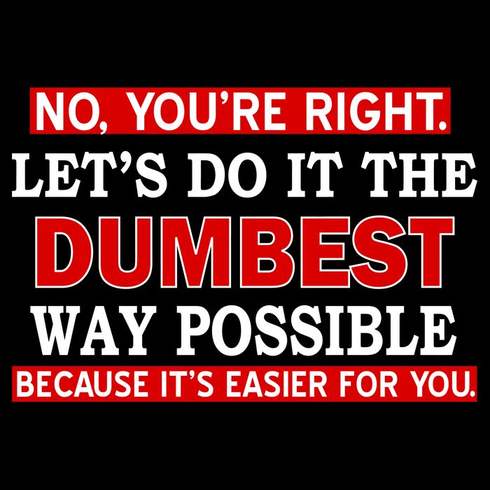 You're Right Let's Do The Dumbest Way Possible Humor Kids T-Shirt