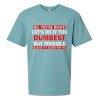 You're Right Let's Do The Dumbest Way Possible Humor Sueded Cloud Jersey T-Shirt