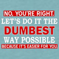 You're Right Let's Do The Dumbest Way Possible Humor Sueded Cloud Jersey T-Shirt
