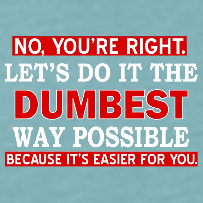 You're Right Let's Do The Dumbest Way Possible Humor Sueded Cloud Jersey T-Shirt