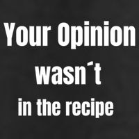Your Opinion Wasnt In The Recipe Gift Adult Drive Performance Visor