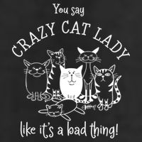 You Say Crazy Cat Lady Like ItS A Bad Thing Meaningful Gift Cool Comfort Performance Bucket Hat