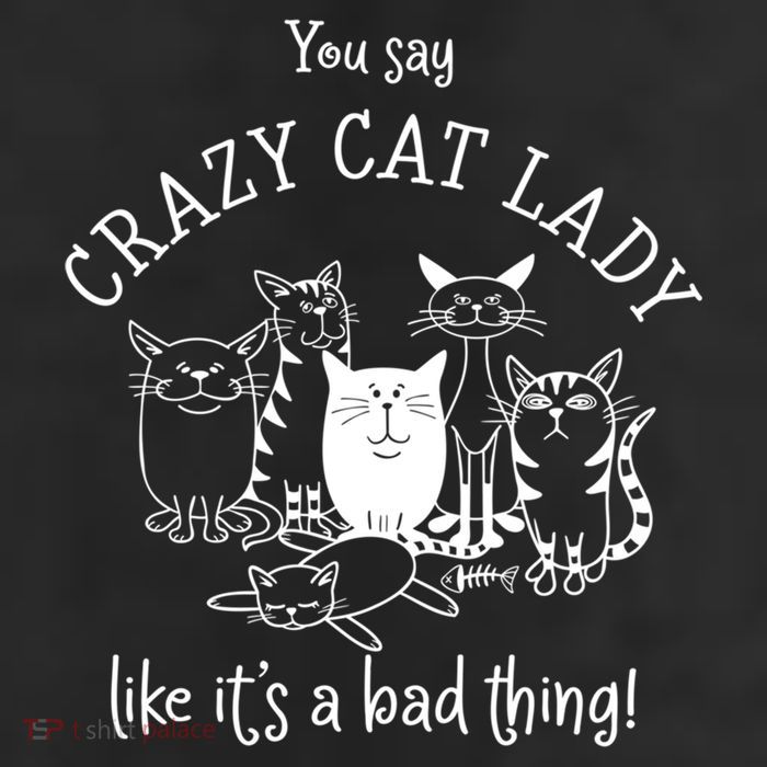 You Say Crazy Cat Lady Like ItS A Bad Thing Meaningful Gift 7 Panel Mesh Trucker Snapback Hat