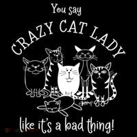 You Say Crazy Cat Lady Like ItS A Bad Thing Meaningful Gift Drawstring Bag