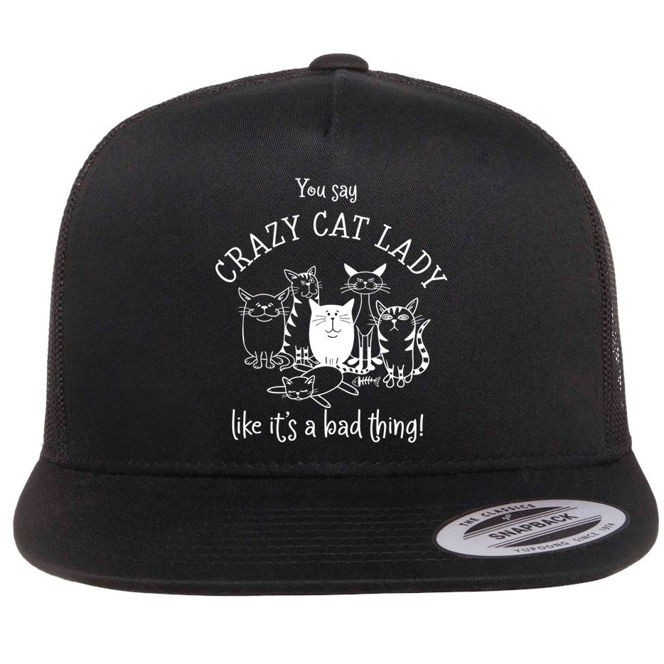 You Say Crazy Cat Lady Like ItS A Bad Thing Meaningful Gift Flat Bill Trucker Hat