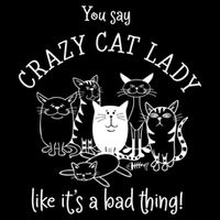 You Say Crazy Cat Lady Like ItS A Bad Thing Meaningful Gift Cropped Pullover Crew