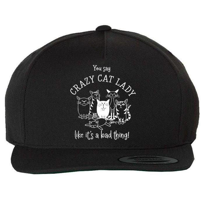 You Say Crazy Cat Lady Like ItS A Bad Thing Meaningful Gift Wool Snapback Cap